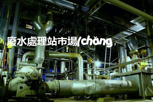 廢水處理站市場(chǎng)：污水成為資源，誰(shuí)將引領(lǐng)環(huán)保革命？
